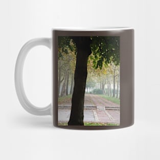 A park on a foggy autumn day Mug